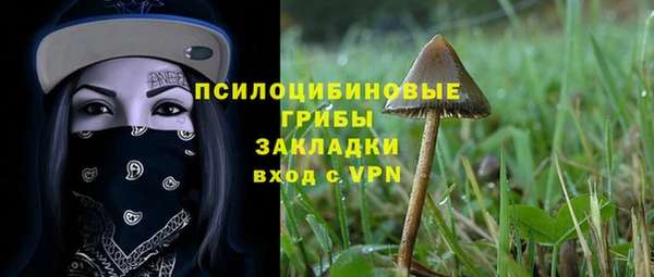 тгк Струнино