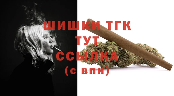 индика Вязники