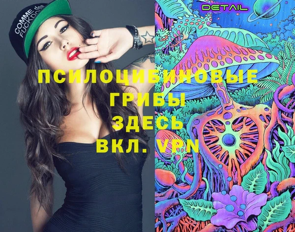 spice Строитель