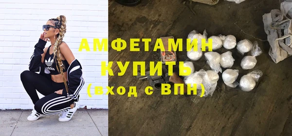 индика Вязники