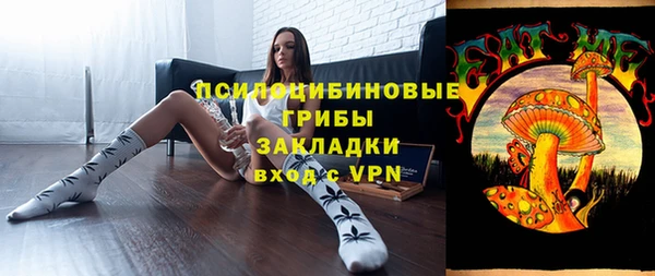 тгк Струнино